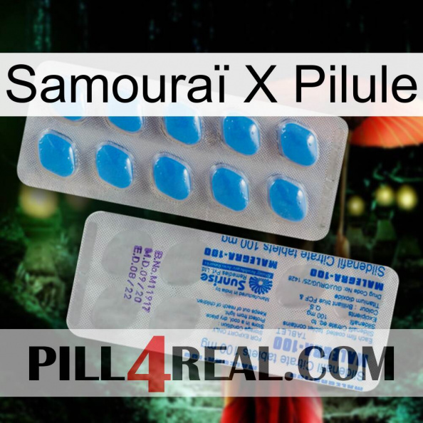 Samouraï X Pilule new15.jpg